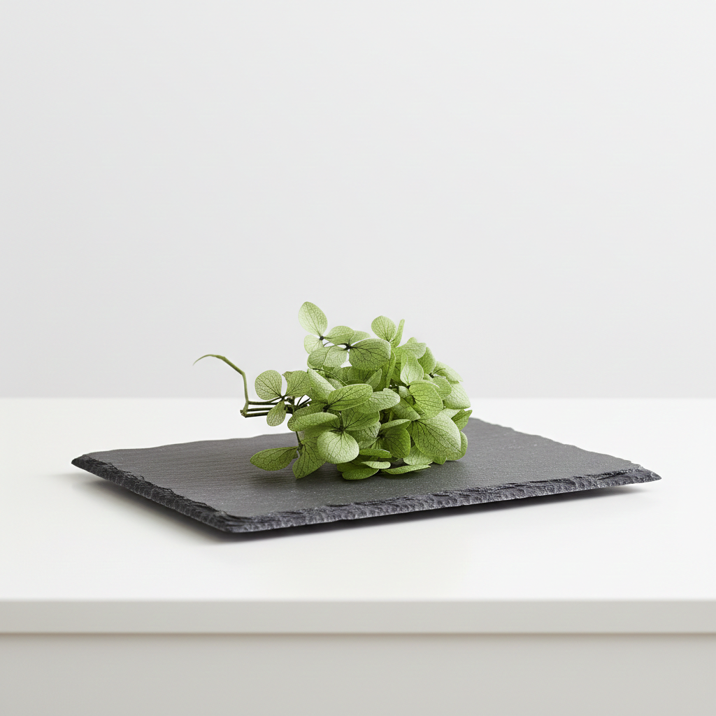 Stabilizovaná hortenzie zelená v boxu – přírodní květina pro aranžování a dekorace